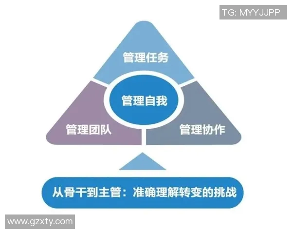 深圳足球队与杭州足球队赛后复盘团队协作的成功与不足分析