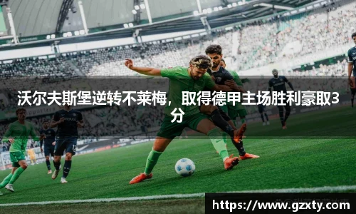 球速体育官网