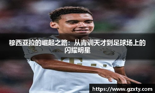 球速体育官方网站